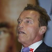 Arnold Schwarzenegger attends the Arnold Classic Europe 2011 party | Picture 97488